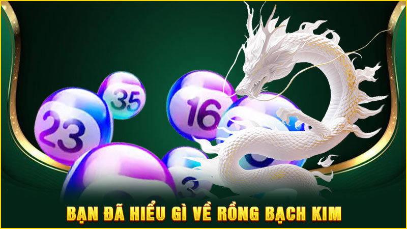 bạn đã hiểu gì về rồng bạch kim