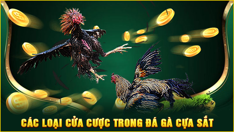 các loại cửa cược trong đá gà cựa sắt