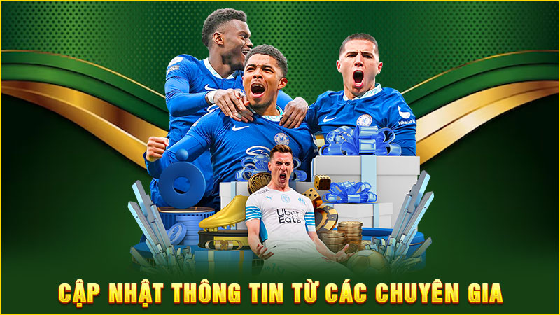 cập nhật thông tin từ các chuyên gia