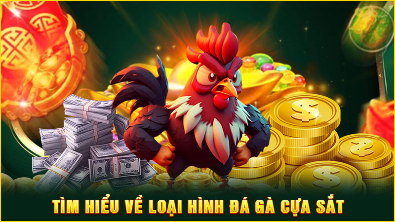 tìm hiểu về loại hình đá gà cựa sắt
