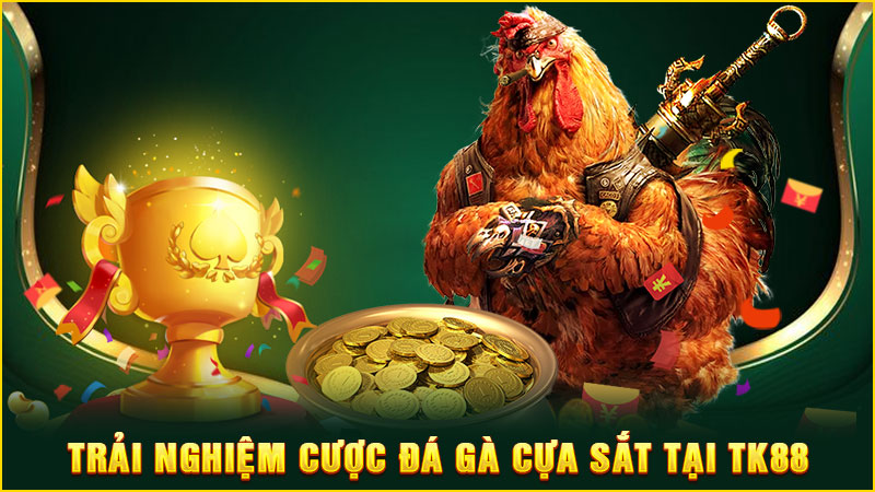 trải nghiệm cược đá gà cựa sắt tại tk88