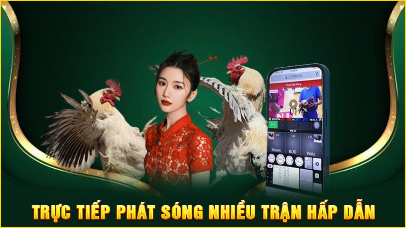 trực tiếp phát sóng nhiều trận hấp dẫn