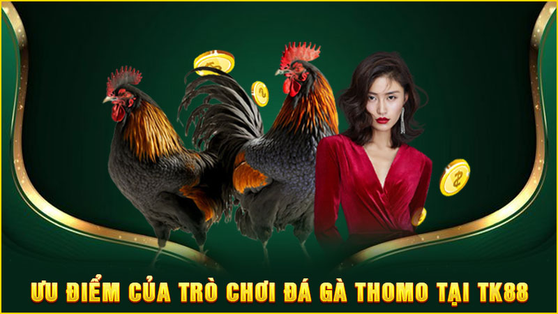 ưu điểm của trò chơi đá gà thomo tại tk88